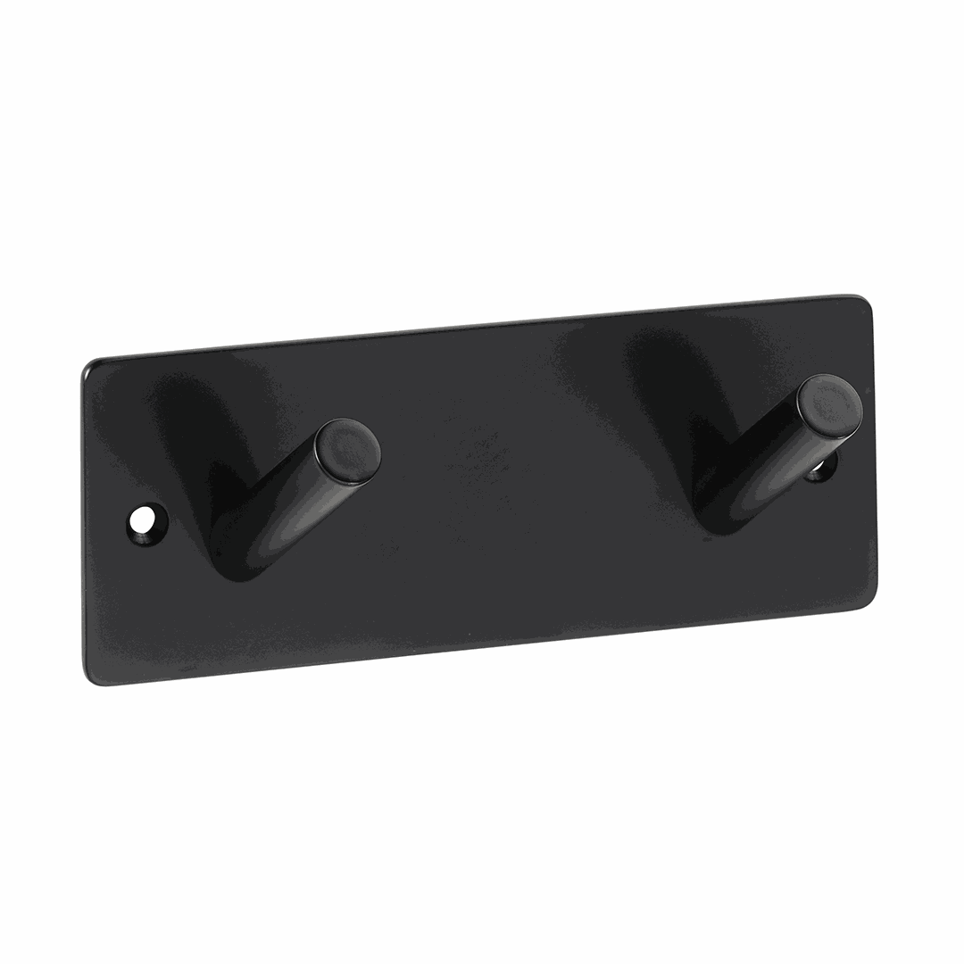 Easy01 Hanger, with 2 hooks